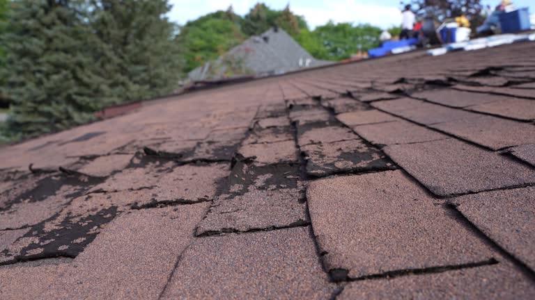 Best Roof Leak Repair  in Mcsherrystown, PA